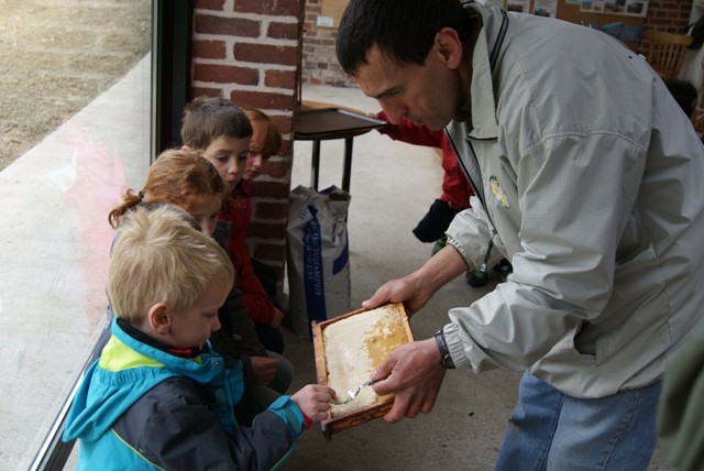 C2 abeille gouter