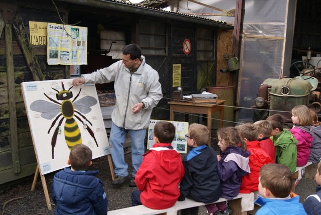 C2 abeille puzzle