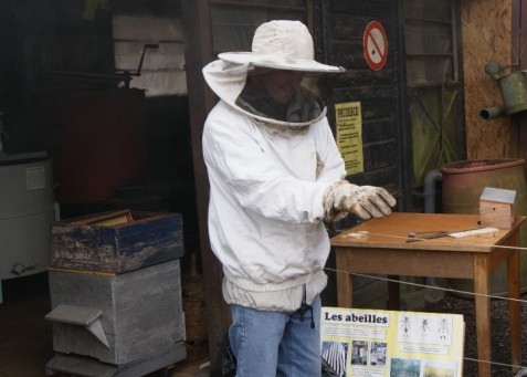 C2 abeille vareuse