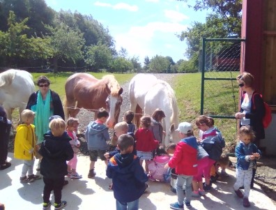 C2 chevaux ferme
