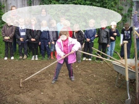 C2 potager rateau