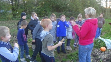 C2 potager