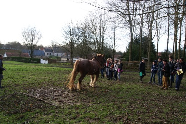 Lycee cheval herse