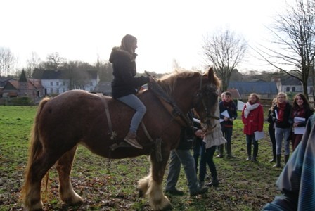 Lycee cheval monter